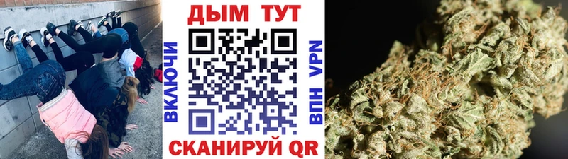 Купить где  Серафимович  Бошки марихуана гибрид 